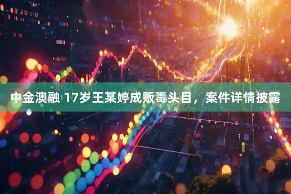 中金澳融 17岁王某婷成贩毒头目，案件详情披露