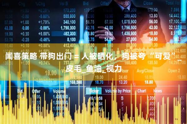 闻喜策略 带狗出门 = 人被晒化，狗被夸 “可爱”_皮毛_鱼油_视力