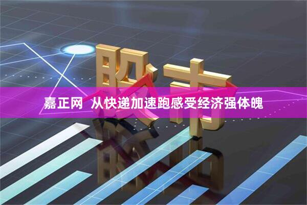 嘉正网  从快递加速跑感受经济强体魄
